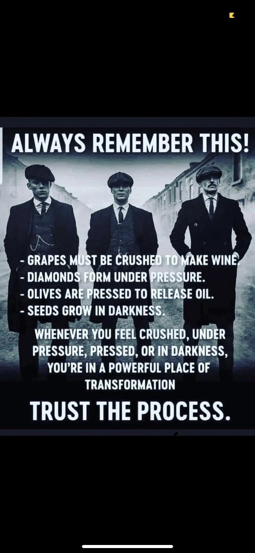 53707 diecast authenticity