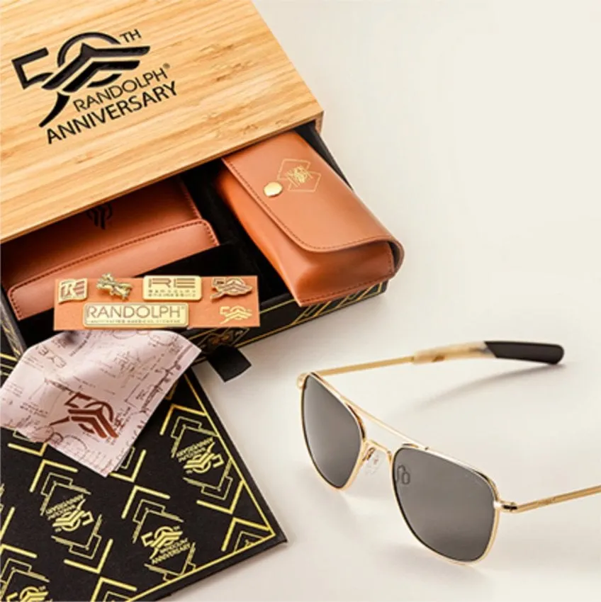 53756 diecast aircraft display